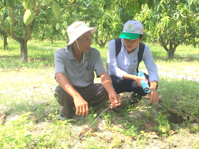 Nông dân Nguyễn Ngọc dẫn giải về lợi ích của phương pháp tưới tiết kiệm trong vườn xoài của mình. Ảnh: Đình Thung.