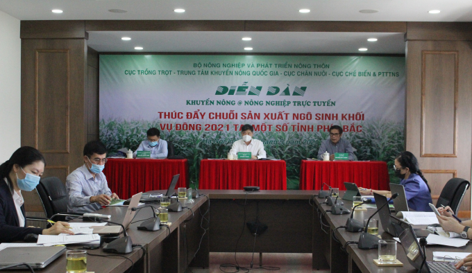 The forum was held in the form of both offline and online, with the participation of many units, businesses and localities that thrived on biomass maize in the North. Photo: Trung Quan.