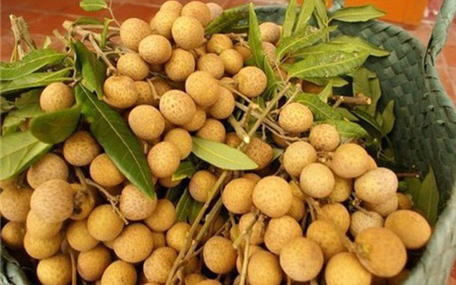 Logan is one of 12 kinds of fruit of Vietnam that have been issued growing area code.