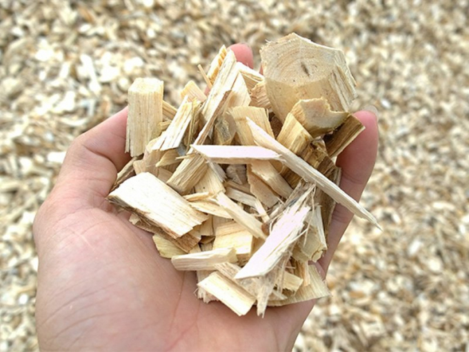 Wood chips are one of the main export wood products to China.