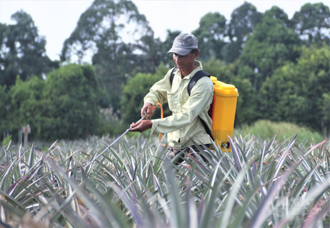 It is necessary to have solutions to control water pollution in agricultural production to ensure sustainable agricultural development. Photo: Pham Hieu.