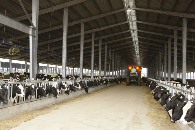 TH's high-tech industrial-scale concentrated dairy farming and milk processing project led by Ms. Thai Huong has a total investment of USD 1.2 billion.