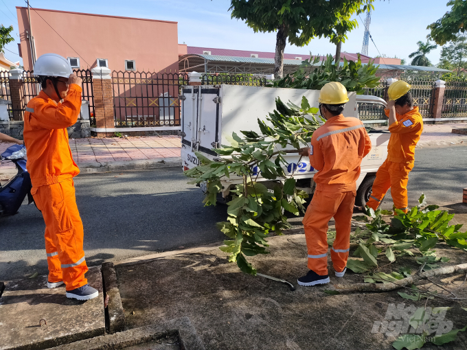 Năm 2020, chủ đề Ngày Môi trường thế giới được chương trình Môi trường Liên hợp quốc lựa chọn là 'Hành động vì thiên nhiên'. Ảnh: Trọng Linh.