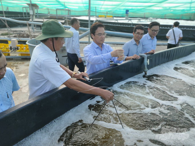 Ông Lưu Hoàng Ly, Giám đốc Sở NN-PTNT tỉnh Bạc Liêu tham quan mô hình nuôi tôm công nghệ cao trên địa bàn xã Vĩnh Trạch Đông, TP Bạc Liêu. Ảnh: Trọng Linh.