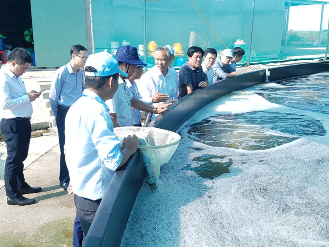 Hiện nay, tỉnh Bạc Liêu có 13 doanh nghiệp đầu tư vào nuôi tôm công nghệ cao và có nhiều mô hình sản xuất có hiệu quả. Ảnh: Trọng Linh.