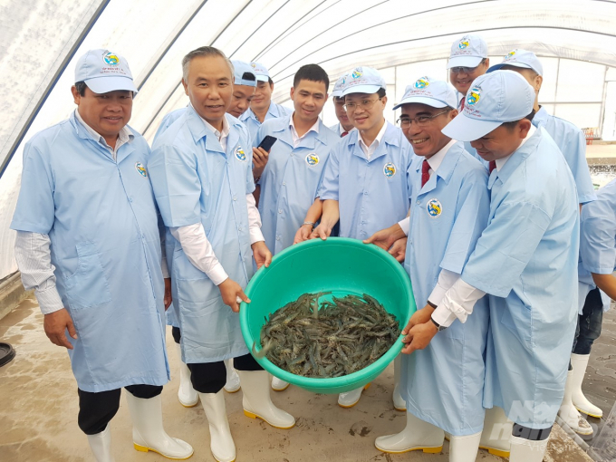 Thứ trưởng Bộ NN-PTNT Phùng Đức Tiến (thứ 2 từ bên trái sang), tham quan mô hình nuôi tôm công nghệ cao tại Tập đoàn Việt Úc. Ảnh: Trọng Linh.