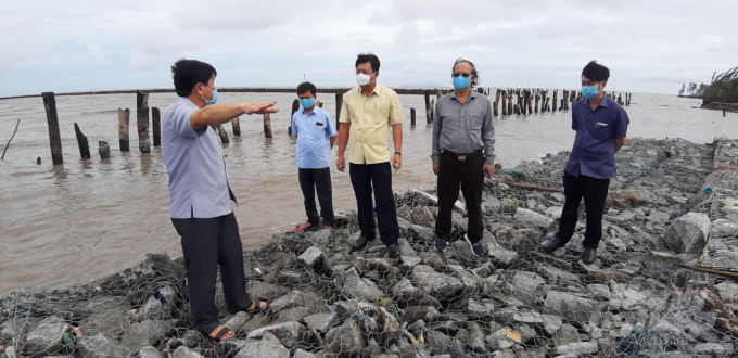 Ông Nguyễn Tiến Hải (áo vàng), Bí thư Tỉnh ủy, Chủ tịch UBND tỉnh Cà Mau khảo sát thực trạng tại hiện trường đoạn đê biển ngày 6/8/2020. Ảnh: TN. 