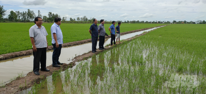 Sở NN-PTNT tỉnh Bạc Liêu cùng đoàn công tác kiểm tra tình hình sản xuất lúa của nông dân tại Phường Láng Tròn, TX Giá Rai. Ảnh: Trọng Linh.