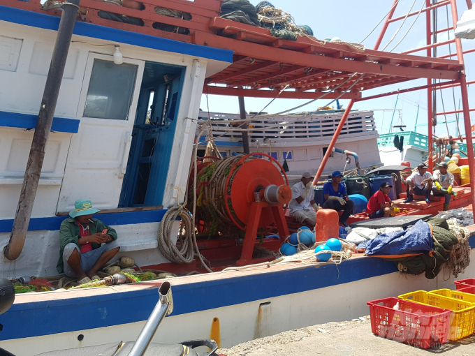 Một tàu cá tại Cà Mau, vừa bị phạt hành chính 1 tỷ đồng và tịch thu tàu cá do vi phạm vùng biển nước ngoài nhiều lần. Ảnh: Trọng Linh.