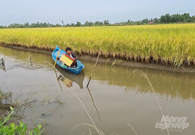 The current organic agricultural production is offering both a high economic value and friendly environment. Photo: Trong Linh.