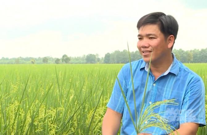 Anh Tạ Minh Kha, Chủ tịch Hội đồng quản trị, kiêm Giám đốc HTX Minh Tâm là người khơi nguồn ý tưởng sản xuất gạo sạch. Ảnh: Trọng Linh.