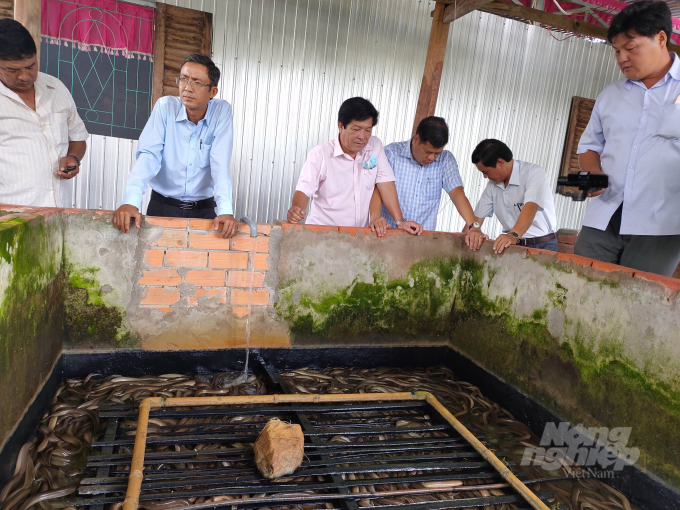Lãnh đạo Sở NN-PTNT tỉnh Bạc Liêu, tham quan mô hình nuôi lươn không bùn tại xã Vĩnh Phú Đông, huyện Phước Long. Ảnh: Trọng Linh.