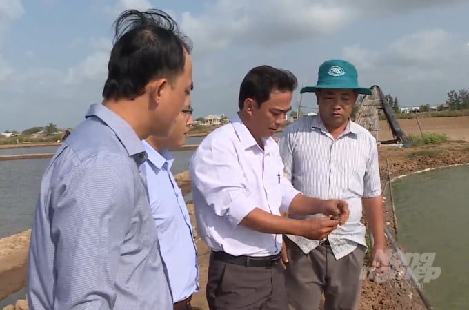 Ngành nuôi trồng thủy sản ở tỉnh Bạc Liêu đối mặt nhiều thách thức do tác động của biến đổi khí hậu. Ảnh: Đào Chánh.