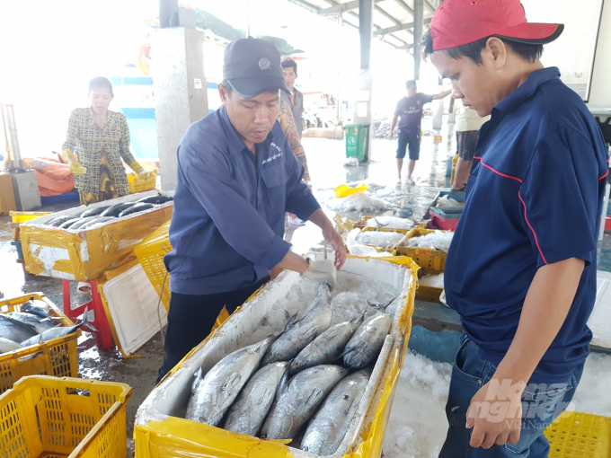 Năm 2021, xuất khẩu thủy sản của tỉnh Cà Mau đạt trên 1,1 tỷ USD. Ảnh: Trọng Linh.
