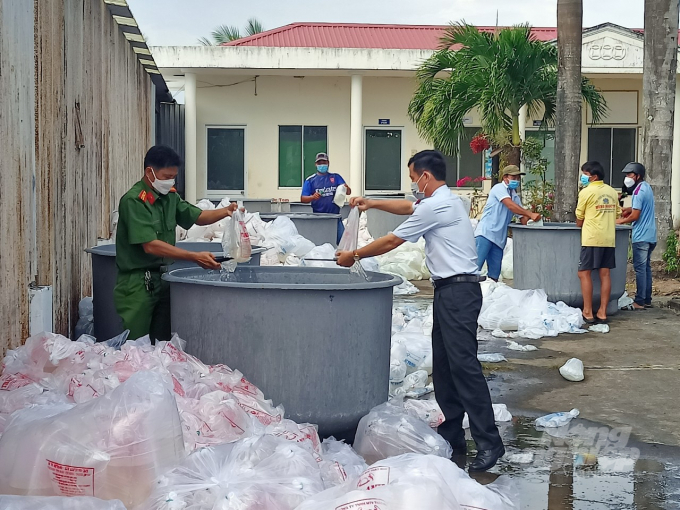 Phòng Cảnh sát Môi trường công an tỉnh Bạc Liêu phối hợp với các đơn vị liên quan tiêu hủy gần 5,3 tiêu con tôm giống không qua kiểm dịch. Ảnh: Ảnh: Trọng Linh.