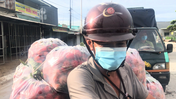 Farmers transporting rambutans for consumption. Photo: Minh Dam.