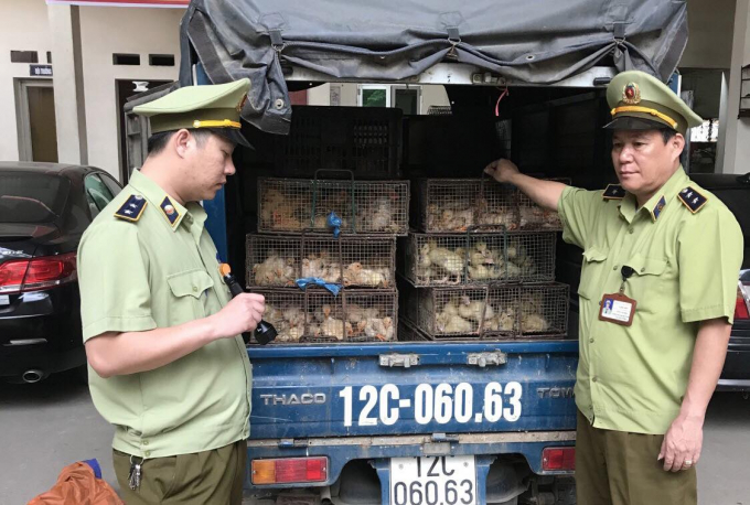 The Ministry of Agriculture and Rural Development requested that Quang Ninh province focus on strictly preventing, detecting and handling cases of illegal transportation of poultry and poultry products across the border into Vietnam.