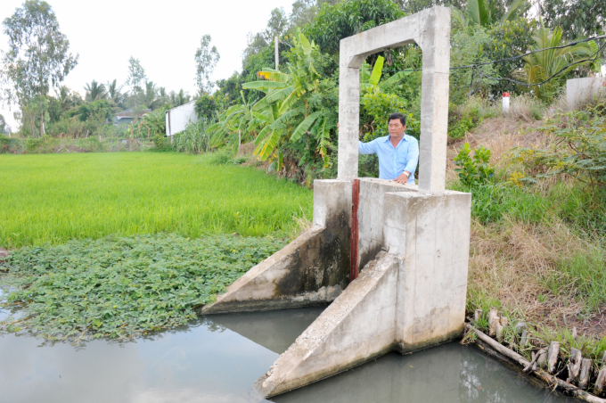 Dong Thap is promoting investment and upgrading the field irrigation system towards modernization, to meet the requirements of crops and livestock restructuring... Photo: Le Hoang Vu.