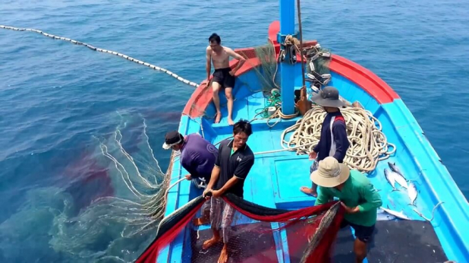 Organization of penalizing administrative violations in the fisheries sector in the past 2 years encountered many difficulties and obstacles.