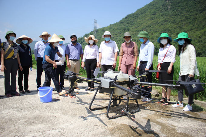 Heads of the Department of Plant Protection inspecting the testing of the pesticide spraying drone in Chieng Chau commune (Mai Chau, Hoa Binh). Photo: Trung Quan.