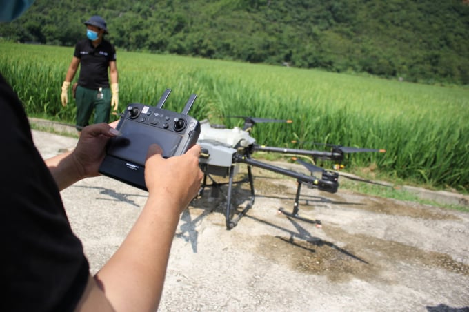 The test results will be an important basis to analyze and evaluate the effectiveness and efficiency of spraying using drones to control pests and diseases. Photo: Trung Quan.