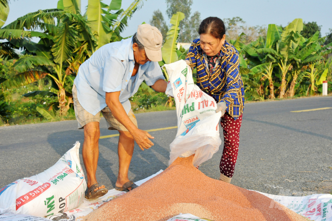 High fertilizer prices are putting pressure on farmers. Photo: Le Hoang Vu.