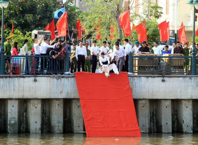 Đến 25/5, quận Hồng Bàng sẽ hoàn thành việc thả thêm 65 đôi thiên nga từ nguồn xã hội hóa xuống sông Tam Bạc. Ảnh: An Đăng.