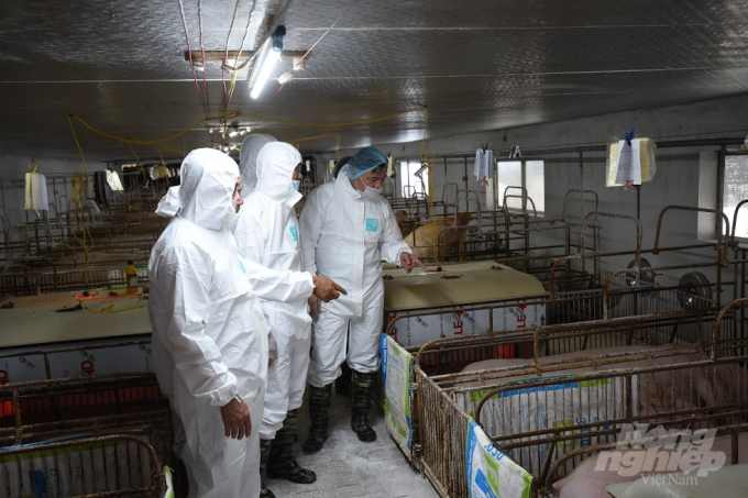 Bộ trưởng Nguyễn Xuân Cường kiểm tra công tác tái đàn tại trang trại chăn nuôi Đảo Bầu sáng 7/7. Ảnh: Đinh Mười. 