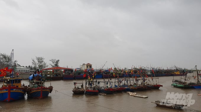 Tàu thuyền trú bão tại cảng cá Ngọc Hải, quận Đồ Sơn. Ảnh: Đinh Mười.