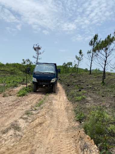 120ha đất rừng bị cấp chồng sổ đỏ lên dự án của Cty Phú Lâm. Ảnh: NNVN.