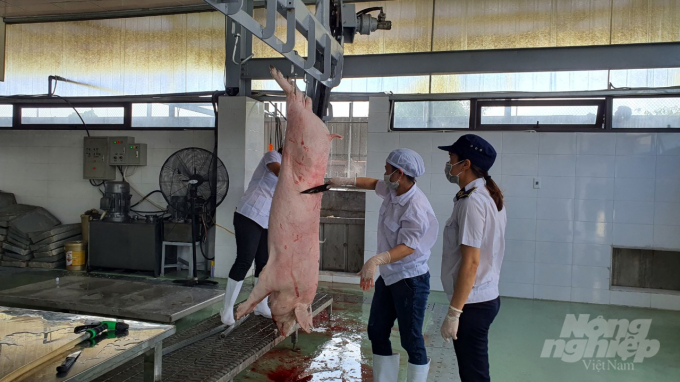 Quản lý chặt tốt việc giết mổ và tiêu thụ các sản phẩm thịt lợn cũng là 1 trong những yếu tố quan trọng giúp phòng chống DTLCP. Ảnh: Đinh Mười.
