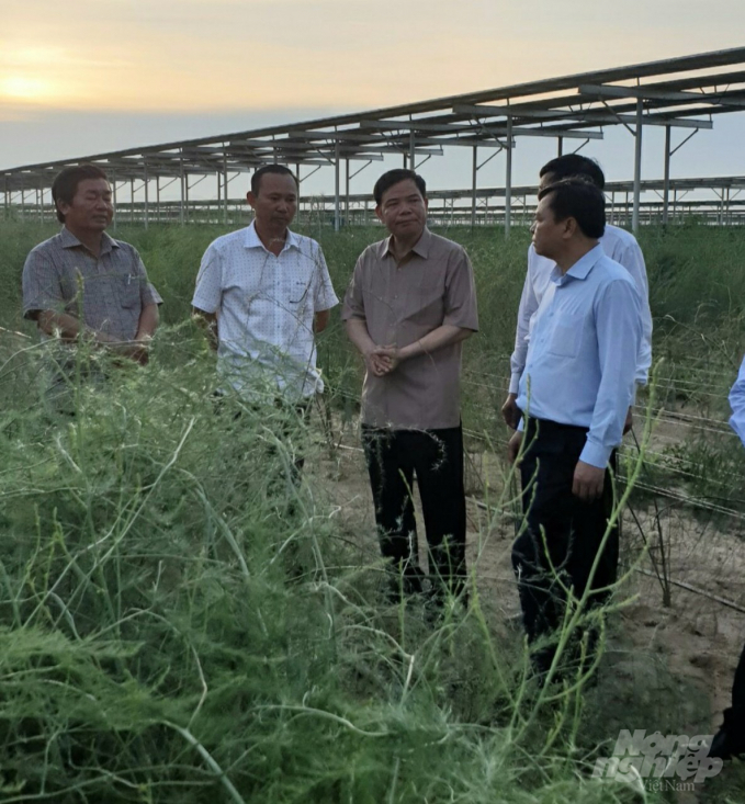 Bộ trưởng Bộ NN-PTNT Nguyễn Xuân Cường  thăm trang trại Tiên Tiến. Ảnh: Thương Công.