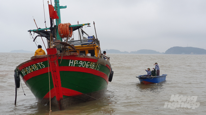 Hải Phòng cấm biển từ 17h ngày 12/6/2021, các tàu thuyền được yêu cầu nhanh chóng vào bờ tránh bão. Ảnh: Đinh Mười.