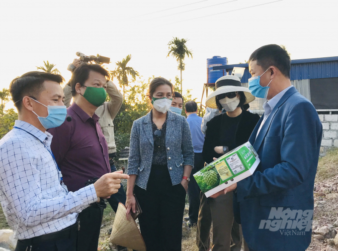 Đoàn công tác khảo sát mô hình trồng na Liên Khê, một sản phẩm OCOP của huyện Thủy Nguyên.