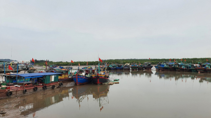 Hàng trăm chiếc tàu ở cảng cá Ngọc Hải, quận Đồ Sơn vẫn im lìm, chưa chịu vươn khơi 'khai xuân'. Ảnh: Đinh Mười.