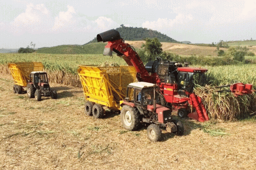 Máy thu hoạch mía công suất lớn.