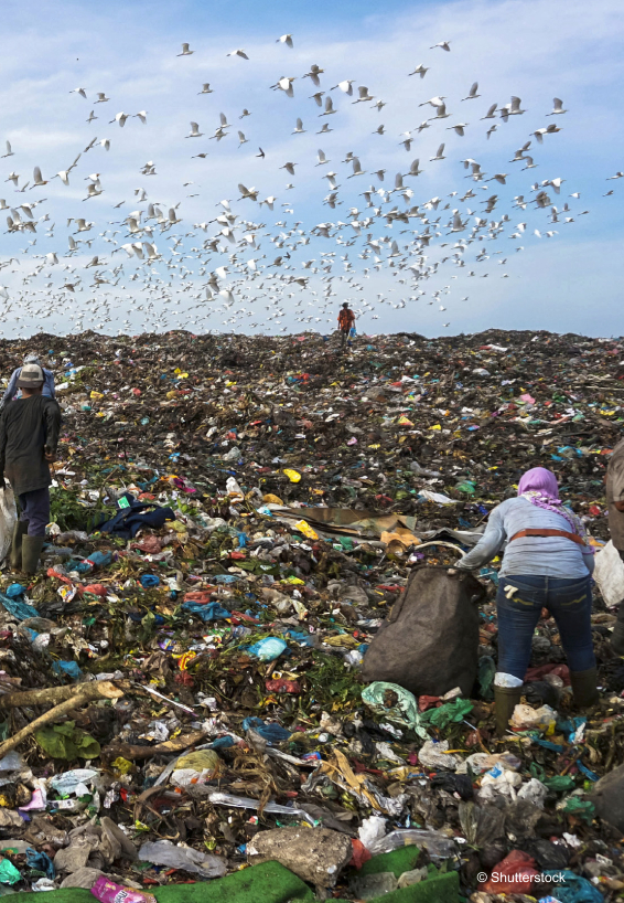 Việc sản xuất, tiêu thụ và thải bỏ nhựa gây ra những tác động tiêu cực đáng kể đến xã hội, môi trường và kinh tế. Nguồn: WWF.
