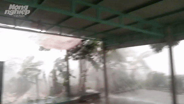 Quảng Trị: Lốc xoáy khiến hàng chục ngôi nhà tốc mái