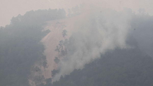 Khống chế được cháy rừng 8,5ha ở Nghệ An