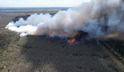 Video: Vườn quốc gia Tràm Chim cháy lớn, cột khói cao hàng trăm mét