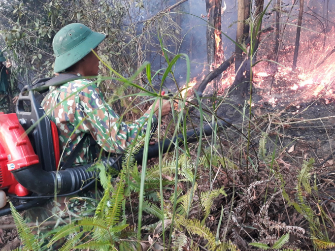 Để cắt lửa cháy lan, các lực lượng phòng chống cháy rừng của Hà Tĩnh phải thức trắng đêm phát đường băng cản lửa. Ảnh: Gia Hưng.