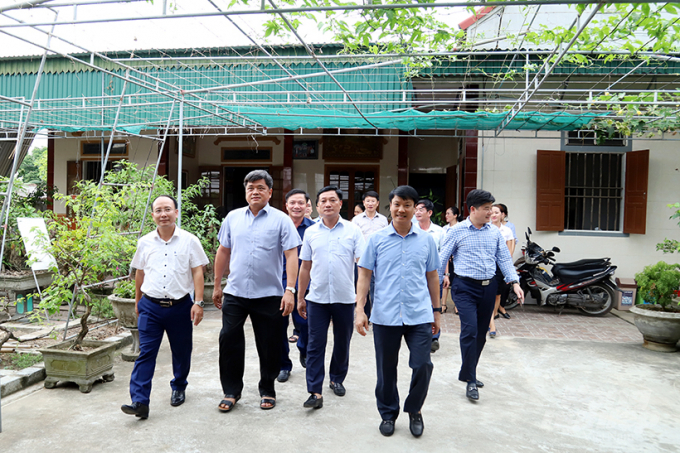 Thứ trưởng Bộ NN-PTNT Trần Thanh Nam tham quan vườn mẫu tại thôn Châu Nội, xã Tùng Ảnh. Ảnh: N.Thắng.