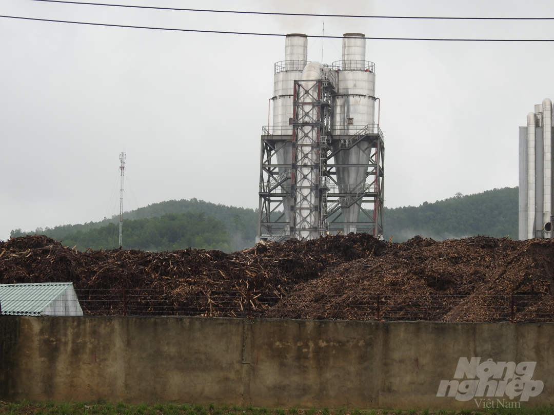 Ngày 22/9, đoàn công tác Sở TN-MT và huyện Vũ Quang sẽ kiểm tra công tác bảo vệ môi trường của Nhà máy Thanh Thành Đạt. Ảnh: Thanh Nga.