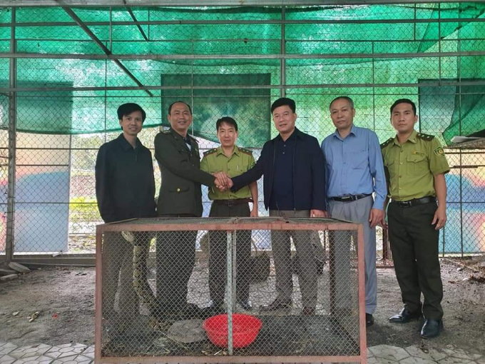 Lực lượng chức năng bàn giao trăn đất cho Vườn quốc gia Vũ Quang. Ảnh: VQGVQ.