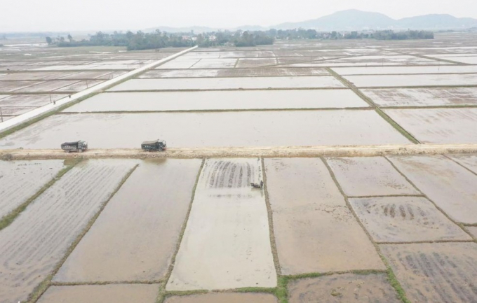 Can Lộc là một trong những địa phương đi đầu trong chuyển đổi, tích tụ ruộng đất. 