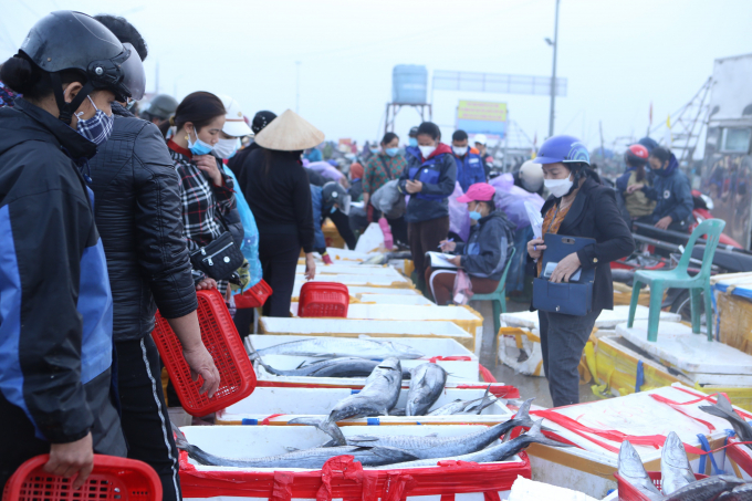 Những ngày cận Tết Nguyên đán Nhâm Dần, cảng cá Thạch Kim, huyện Lộc Hà nhộn nhịp kẻ bán, người mua.