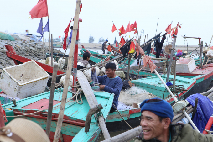 Để săn được cá đục, ngư dân phải ra biển từ lúc tờ mờ sáng thả lưới. Đây là con đặc sản rất khó đánh bắt nên giá thành khá cao.