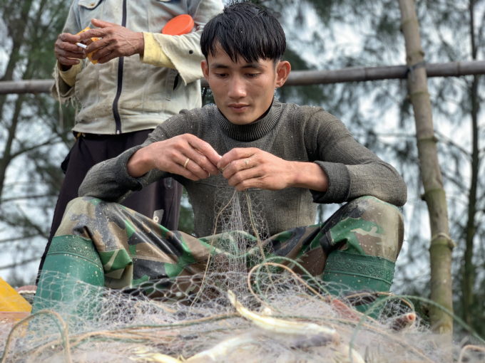 Cá đục sau khi thu gom được bán trực tiếp cho người tiêu dùng hoặc thương lái thu mua đưa lên các chợ đầu mối ở huyện Lộc Hà, TP Hà Tĩnh để bán lẻ.