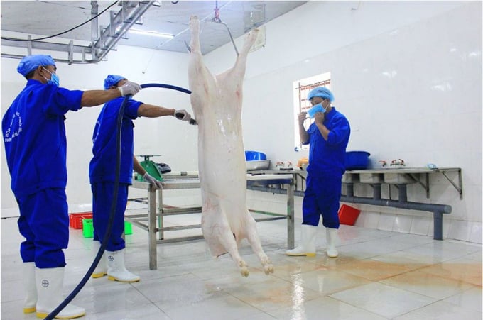 Theo Cục Thú y, không nhất thiết phải ký kết Hiệp định Thú y mới được phát xuất nhập khẩu thịt với Việt Nam. Ảnh: Đại Từ.