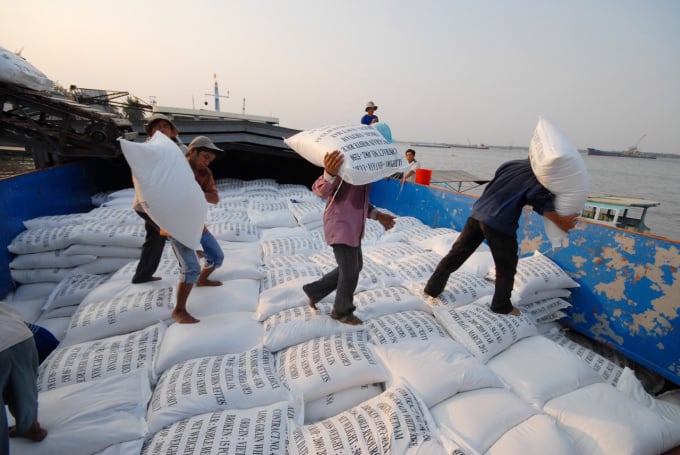 Trong thời gian tới, nhiều khả năng Trung Quốc sẽ tiếp tục đẩy mạnh nhập khẩu gạo từ Việt Nam. Ảnh: Lê Hoàng Vũ.